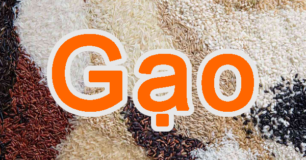 Gạo